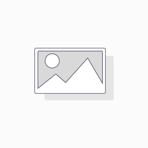 SPEED MAX 310ML