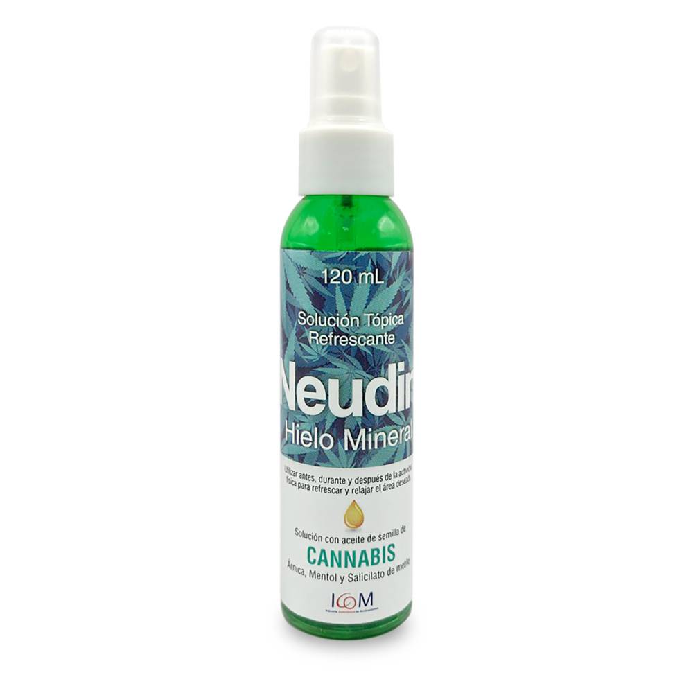 HIELO MINERAL NEUDIN 120ML